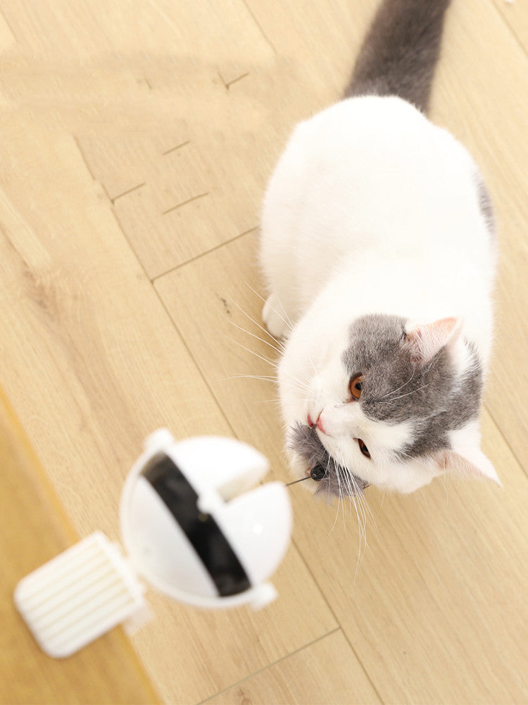 K & S | Elektrisches Automatisches Katzenspielzeug mit Hebefunktion - Interaktives Spielzeug für Aktive Katzen