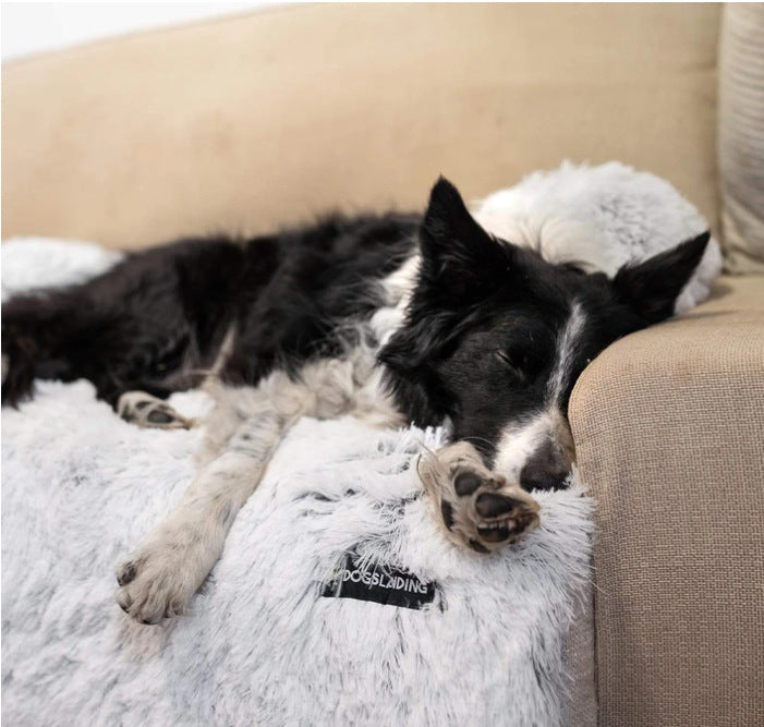 K & S | Waschbares Haustierbett mit Abnehmbarem Bezug - Weiche Matte & Sofa-, Auto- & Bodenschutz für Hunde & Katzen