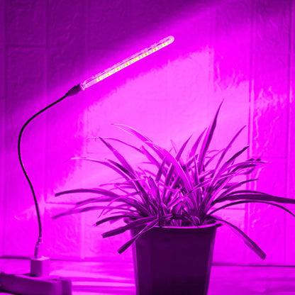 K & S | LED Pflanzenlampe 10W – USB Pflanzenlicht mit 21 LEDs für Zimmerpflanzen & Wachstum