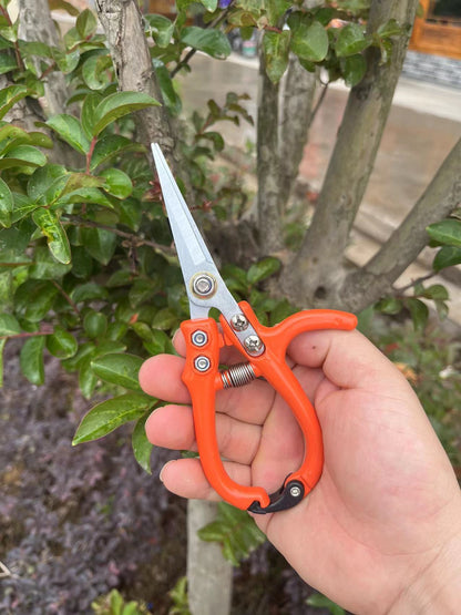 K & S | Multifunktionale Gartenschere mit Sicherheitsverschluss & Edelstahlfeder - Präzise für Rosen, Sträucher & Gartenarbeit